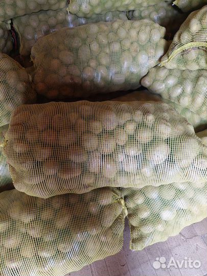 Продукты питания