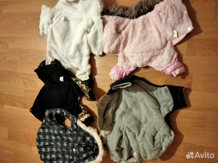 Одежда для собак