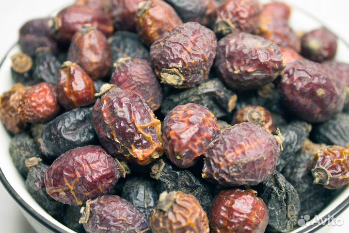 Шиповник сушеный