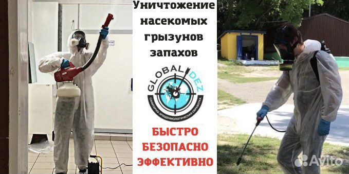 Уничтожение тараканов блох клещей клопов