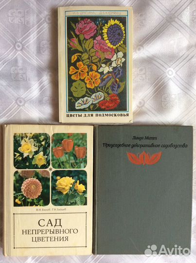 Сад непрерывного цветения Цветы для Подмосковья