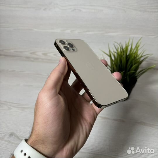 iPhone 12 Pro, 256 ГБ