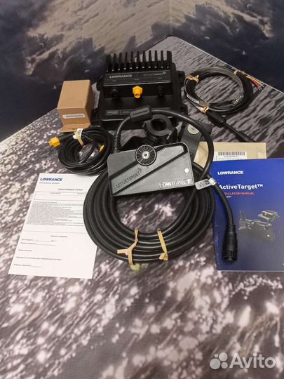 Lowrance Active target