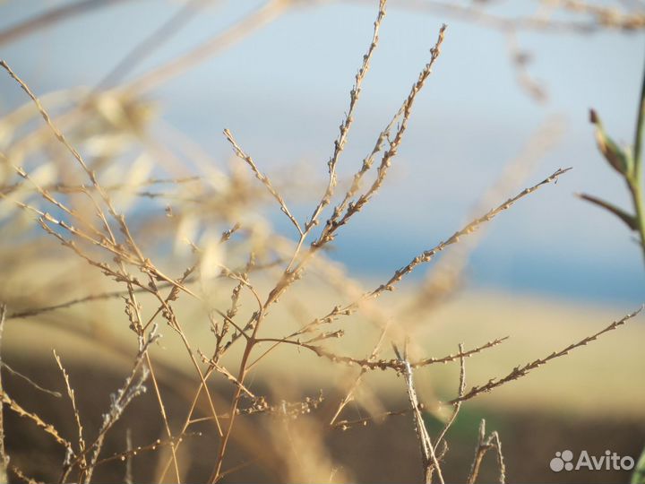 Фотограф на вашем празднике