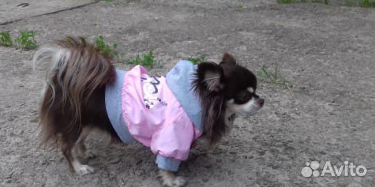 Куртка дождевик