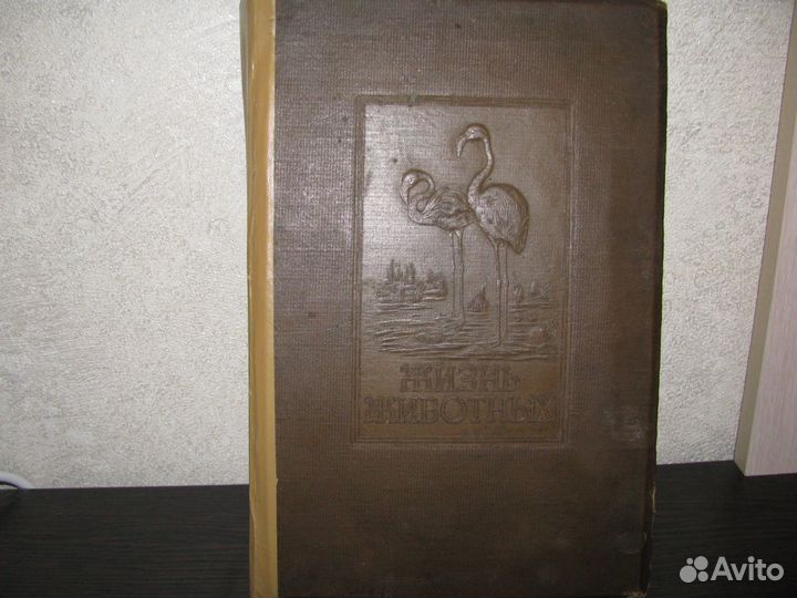 Книга Брэма,жизнь животных,4т.птицы