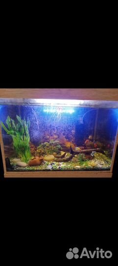 Аквариум с тумбой 130 литров