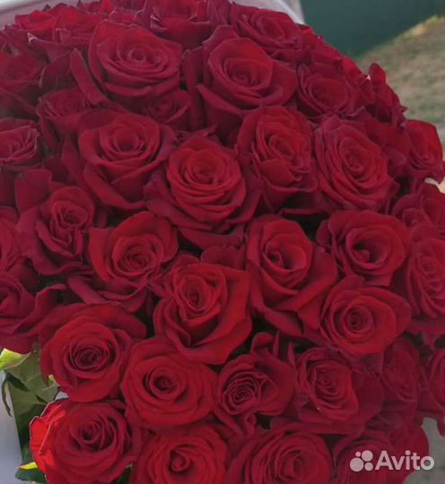 Букет 101 Роза