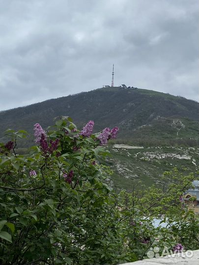 Гид экскурсовод