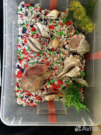 Камни для аквариума