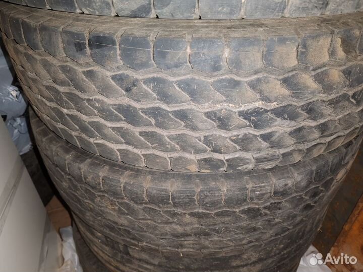 Шины 245 70 r19.5 белшина