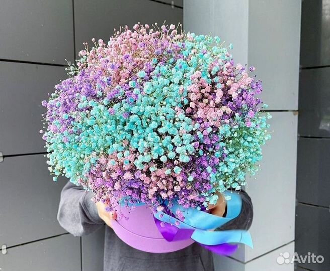 Гипсофила композиции в коробках