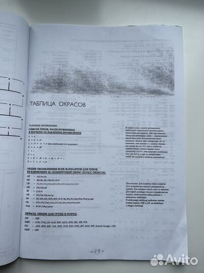 Книга о скрещивании сибирских кошек