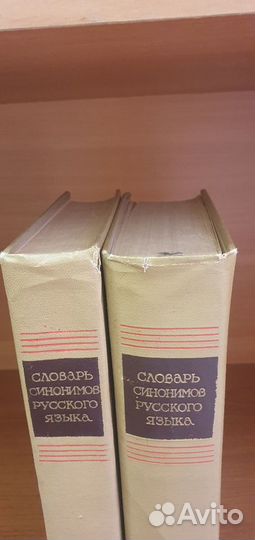 Словарь синонимов русского языка в 2 томах