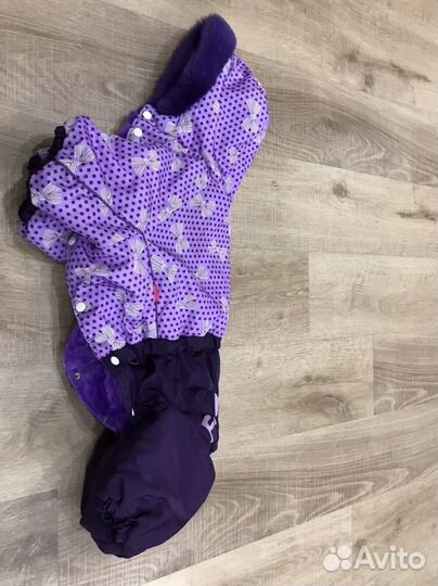 Одежда для собак