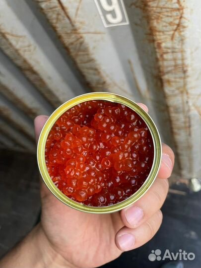 Икра красная 2024