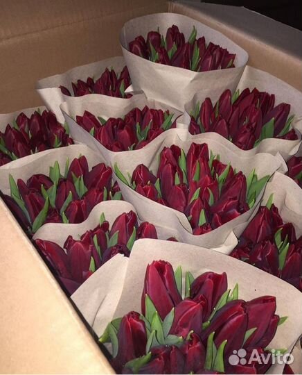 Тюльпаны к 8 марта оптом
