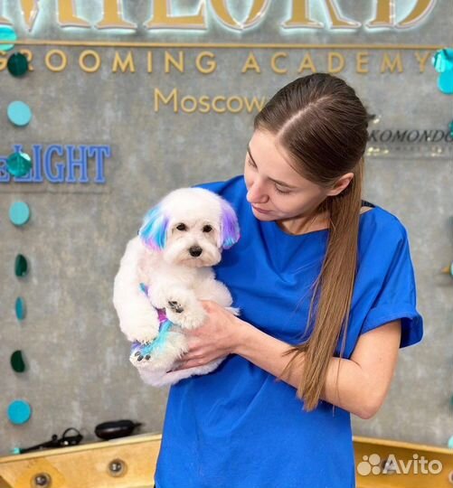 Услуги грумера