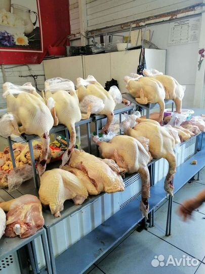 Индюки и куры