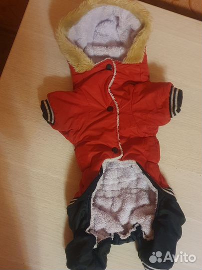 Зимний костюм для собак