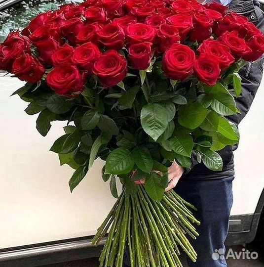 Розы Цветы Букеты 25 51 151 201 101 301 501 опт