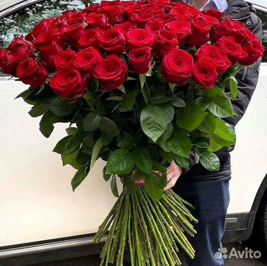 51 Роза, Букеты Цветы Розы 25 101 501 1001