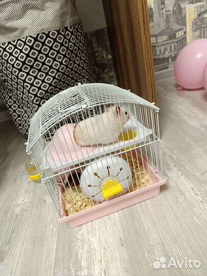 Клетка для грызунов маленькая