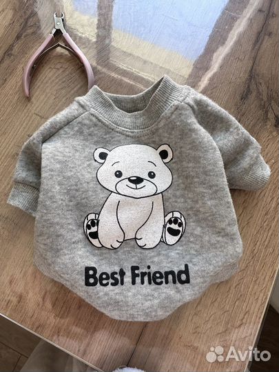 Одежда для маленьких собак