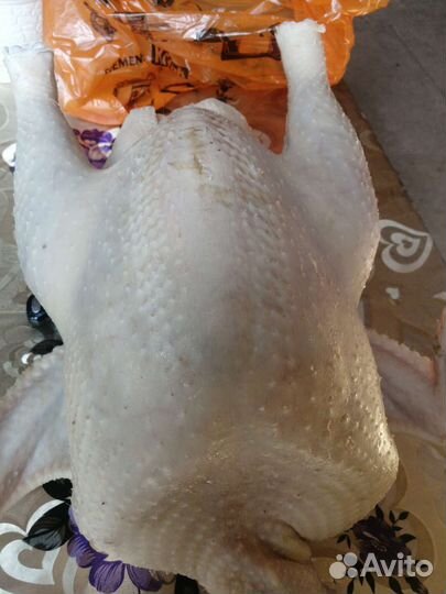 Мясо индейки