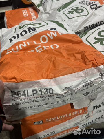 Семена подсолнечника оригинальные гибридные