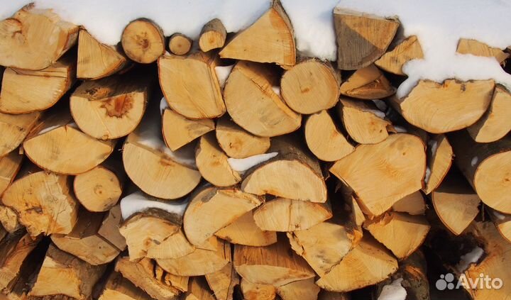 Дрова береза