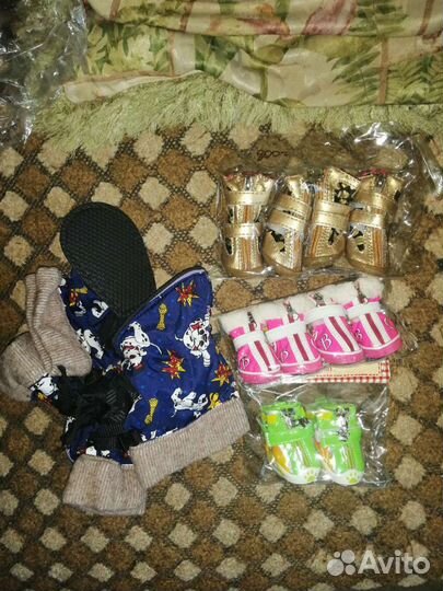 Обувь для собак