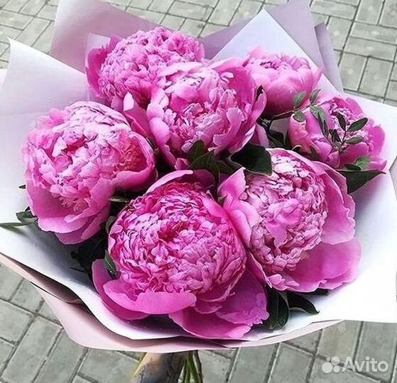 Пионы Цветы Доставка