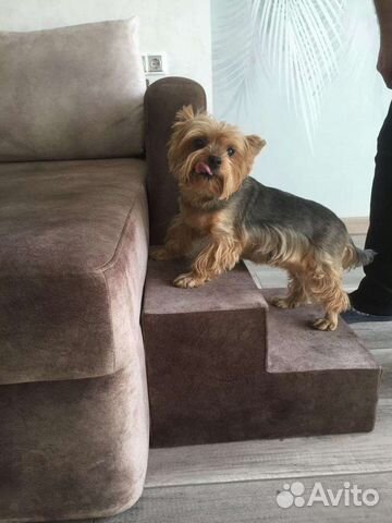 Лесенка, кубик - пуфик, для собак