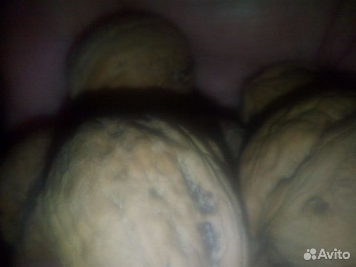 Орех грецкий нечищенный