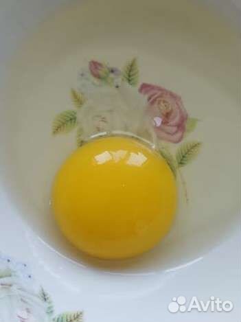 Домашние куриные яйца