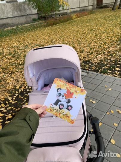 Коляска 2в1 adamex