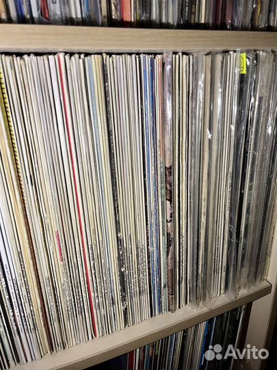 Виниловые пластинки (LP)