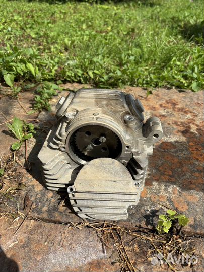 Головеа 172ffm