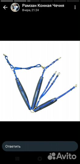 Уздечка для лошади