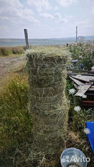 Сено в рулонах 2023