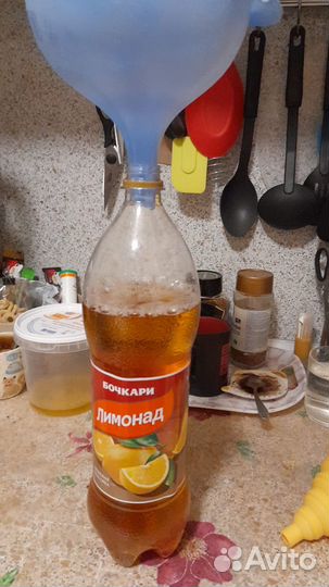 Чайный гриб комбуча для похудения