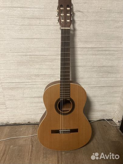 Акустическая гитара phodipe