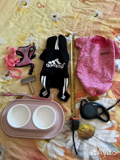 Вещи для маленьких собак