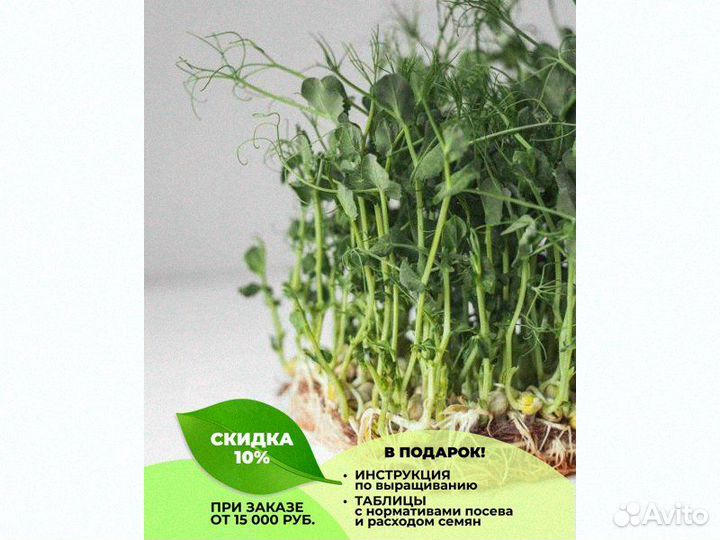 Семена весовые микрозелень