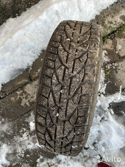 Tigar Ice 185/65 R15 92