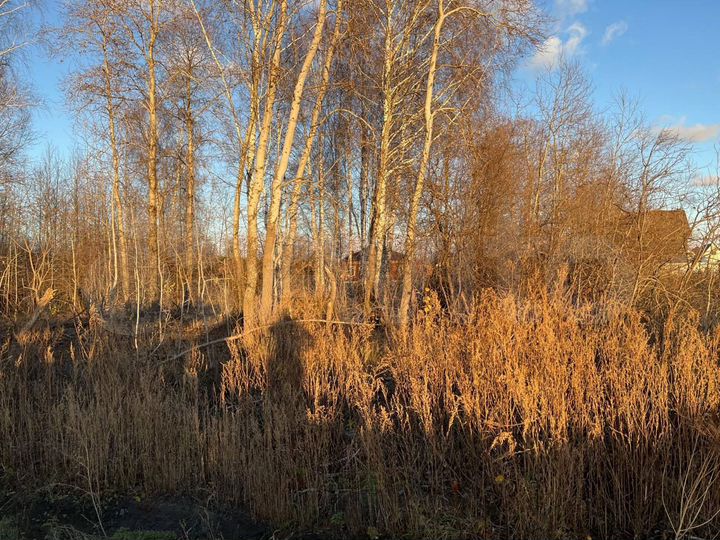 Участок 18,7 сот. (ИЖС)