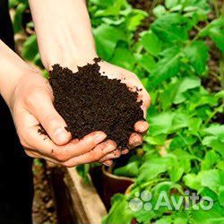 Кофейный жмых для удобрения до 2 тонн в месяц