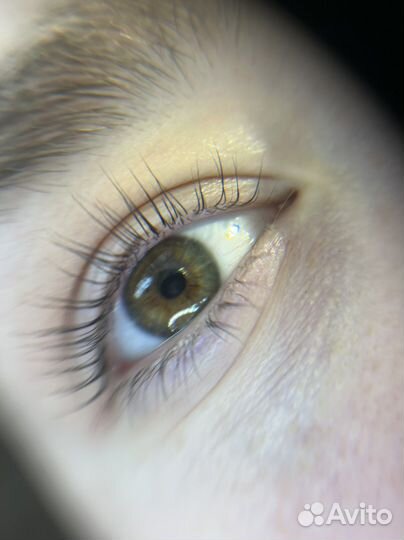 Вельвет, ламинирование ресниц, брови