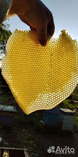 Мед натуральный. Опт